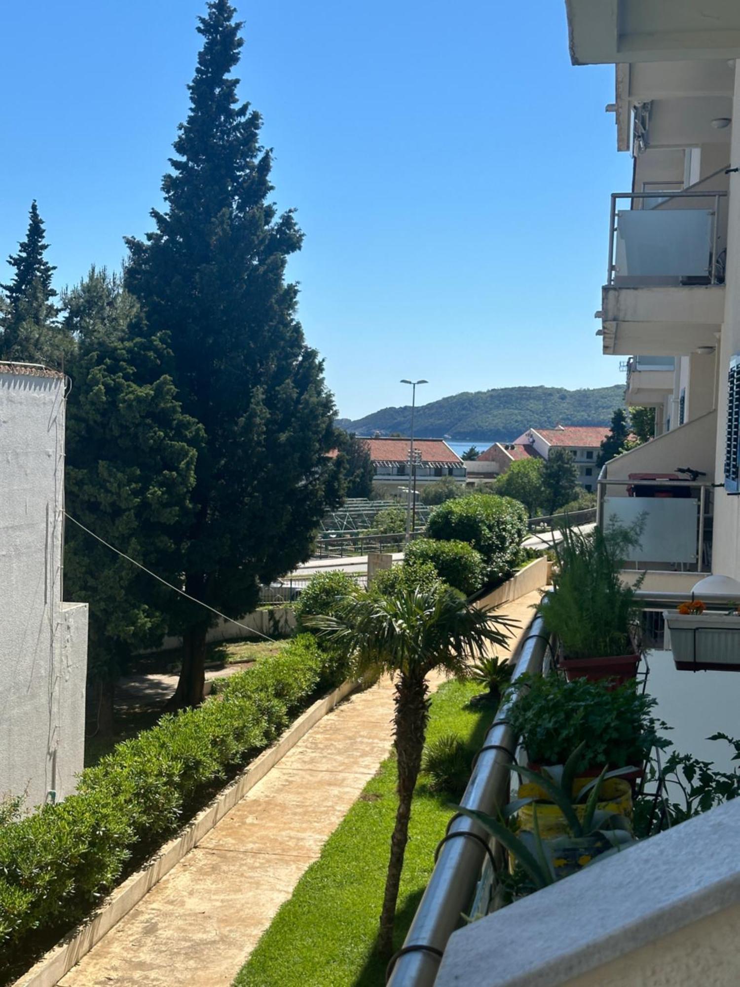 Irish Complex * Budva